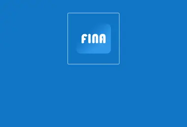 Screenshot of finasoft.ge