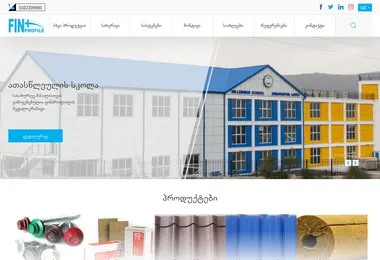 Screenshot of finprofile.ge