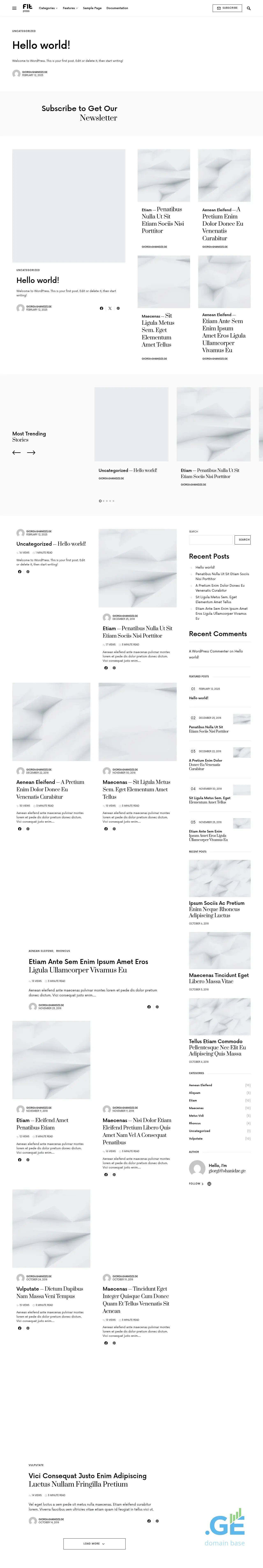 Screenshot of the site fitpress.ge
