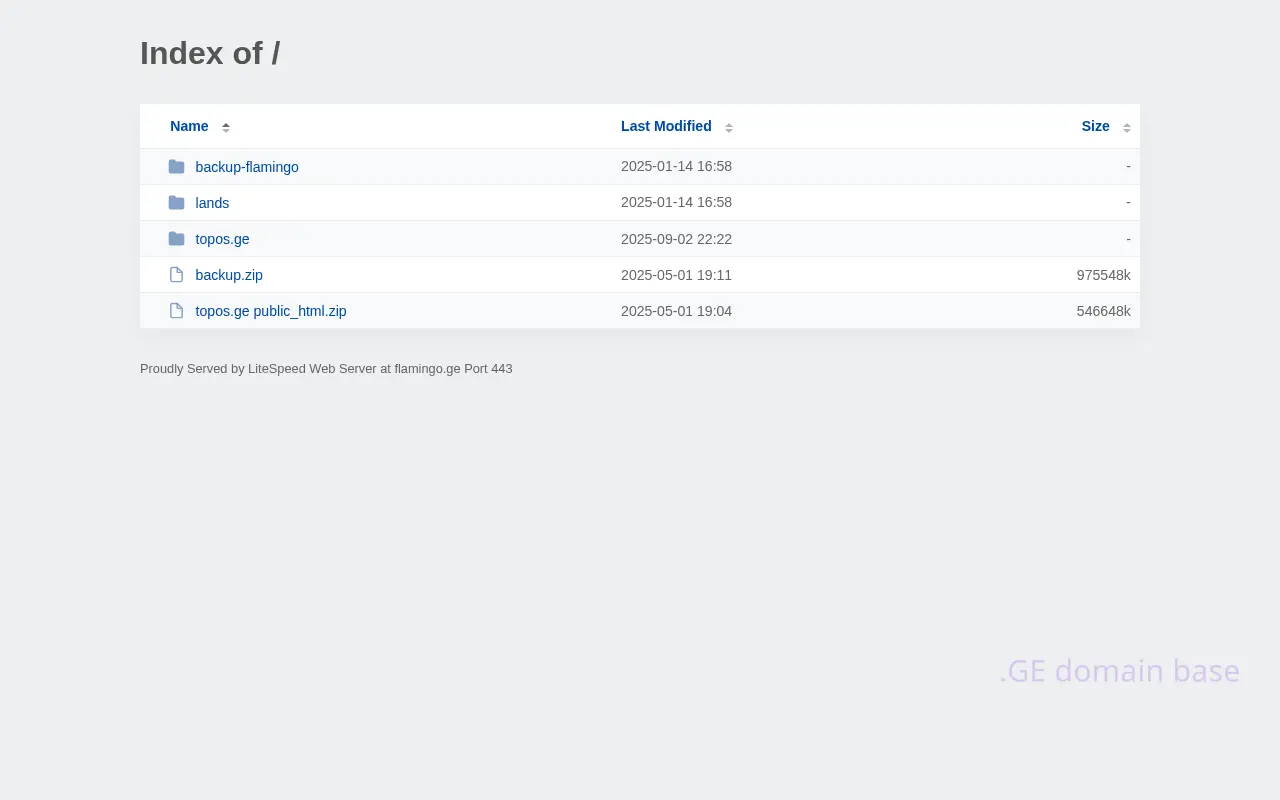 Screenshot of the site flamingo.ge