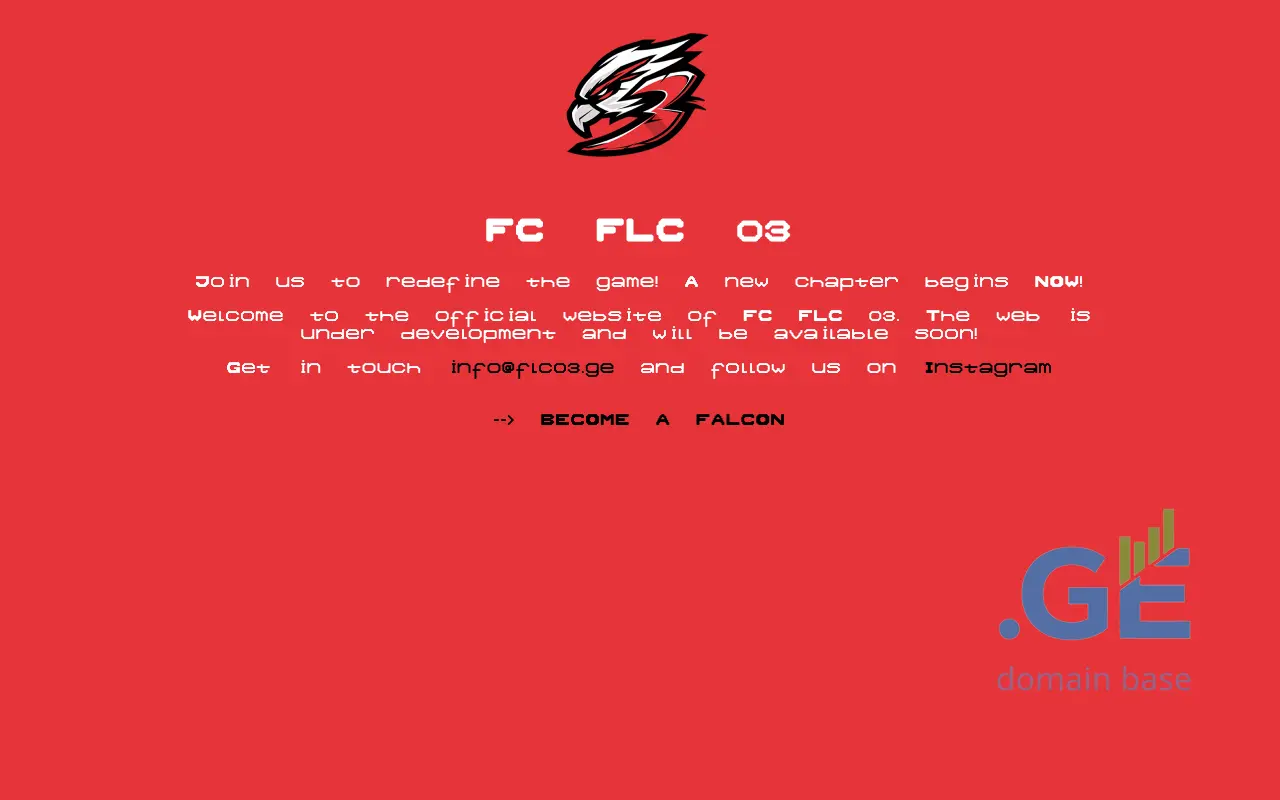 Screenshot of the site flc03.ge