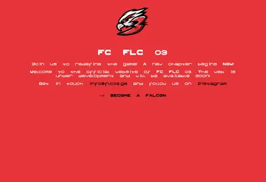 Screenshot of flc03.ge