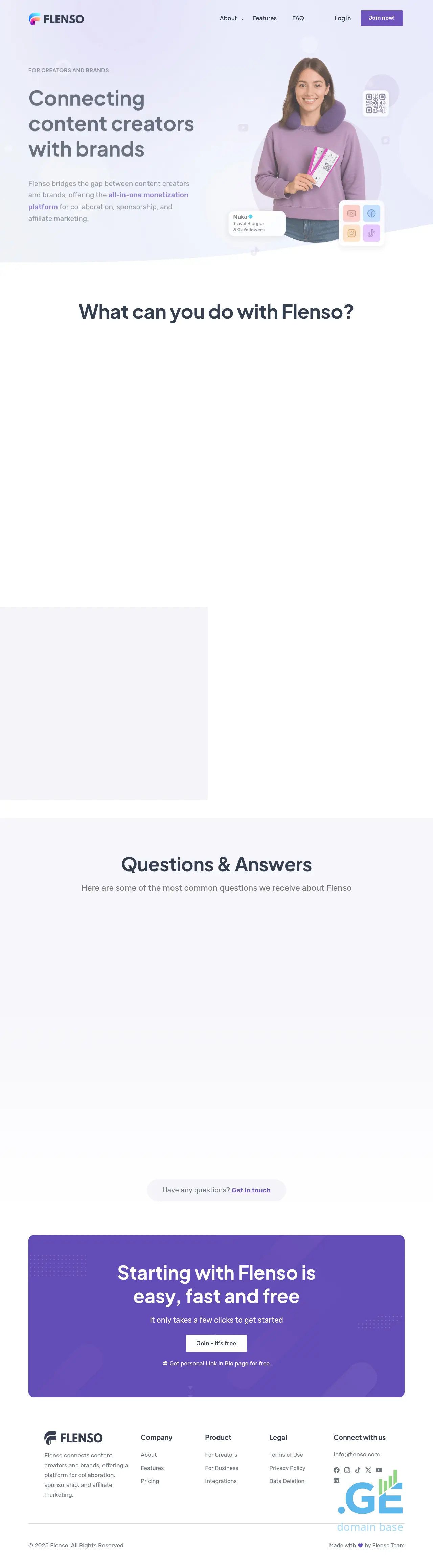 Screenshot of the site flenso.ge