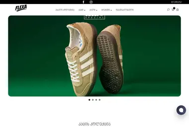 Screenshot of flexashop.ge