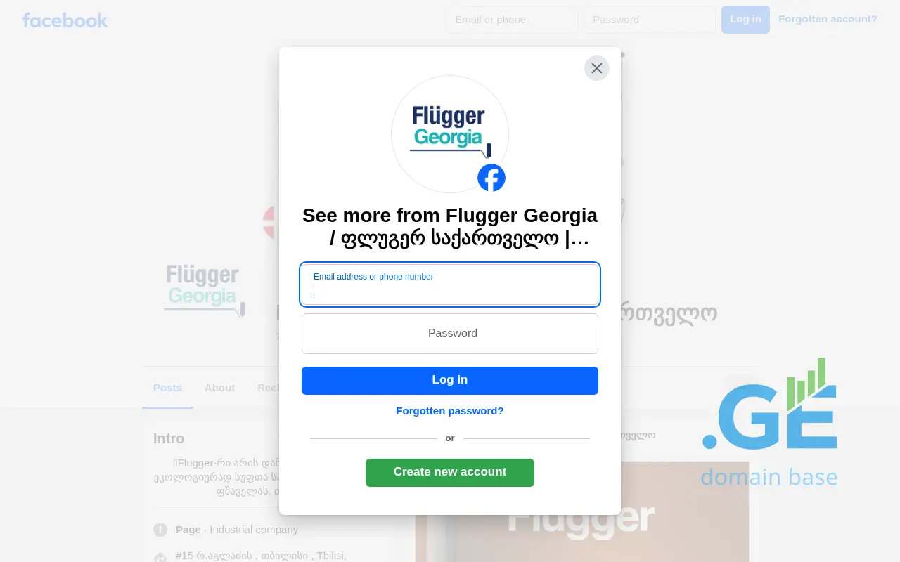 Screenshot of the site flugger.ge