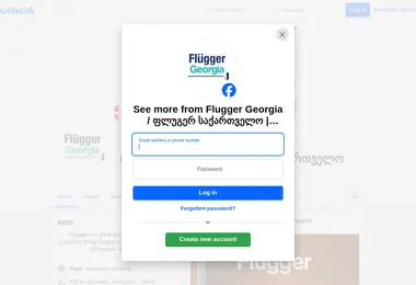 Screenshot of flugger.ge