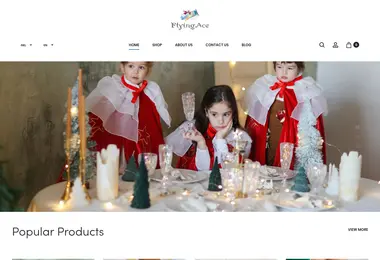 Screenshot of flyingaceshop.ge