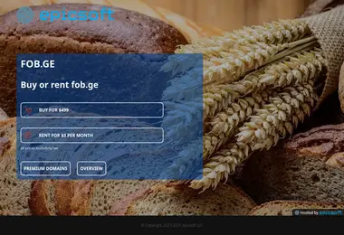 Screenshot of fob.ge