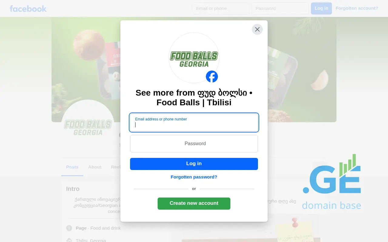 Screenshot of the site foodballs.ge