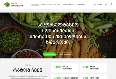Screenshot of foodconsulting.ge