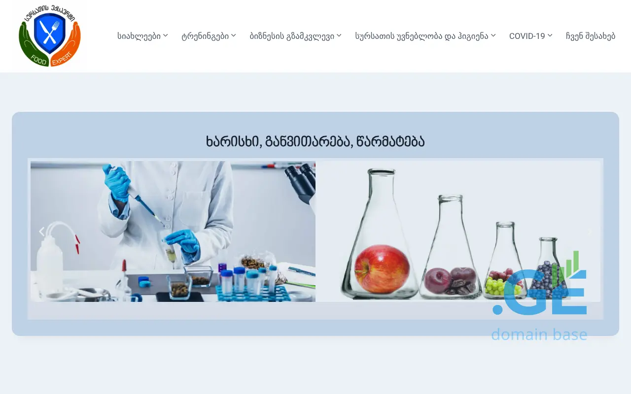 Screenshot of the site foodexpert.ge