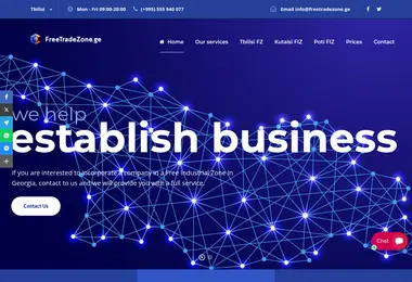 Screenshot of freetradezone.ge