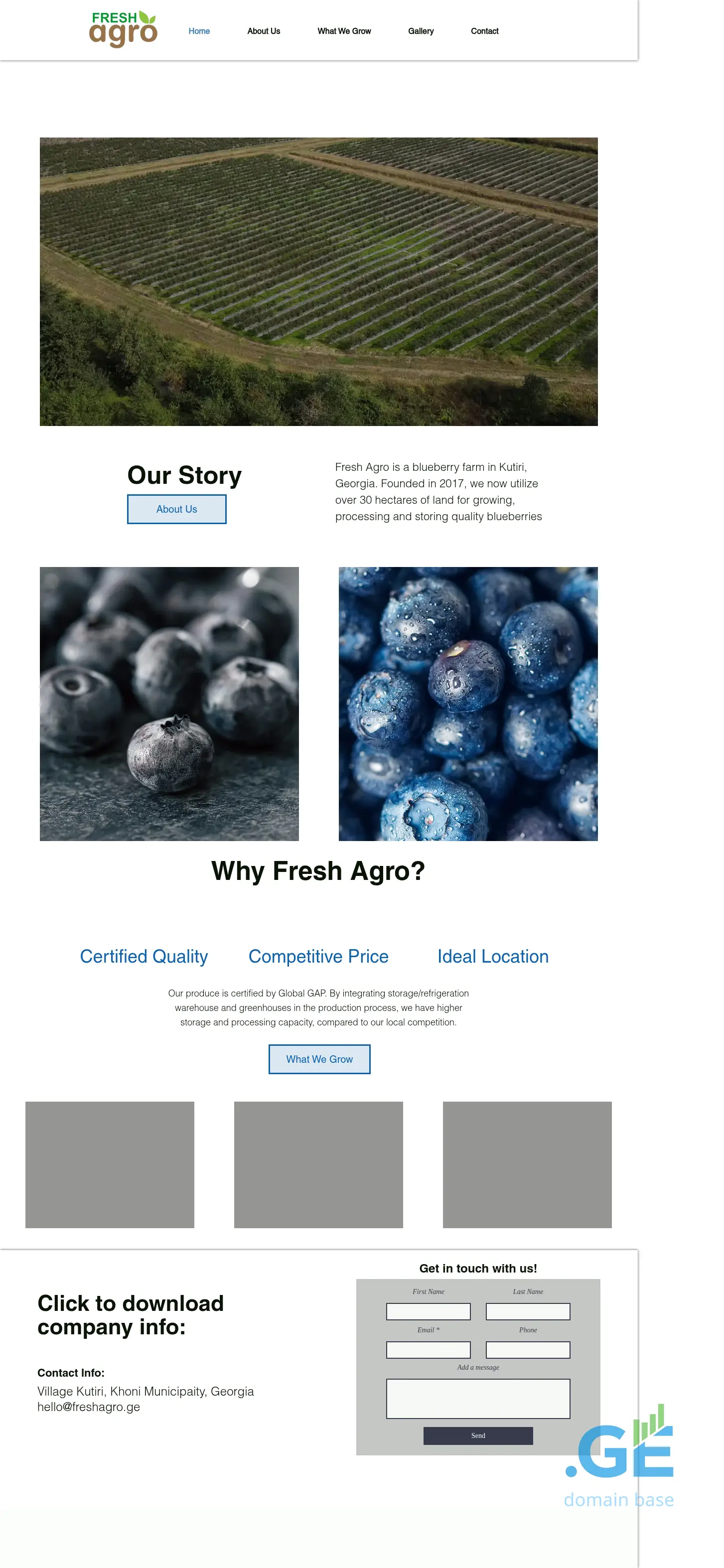 Screenshot of the site freshagro.ge