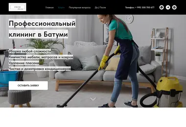 Screenshot of freshcleaning.ge