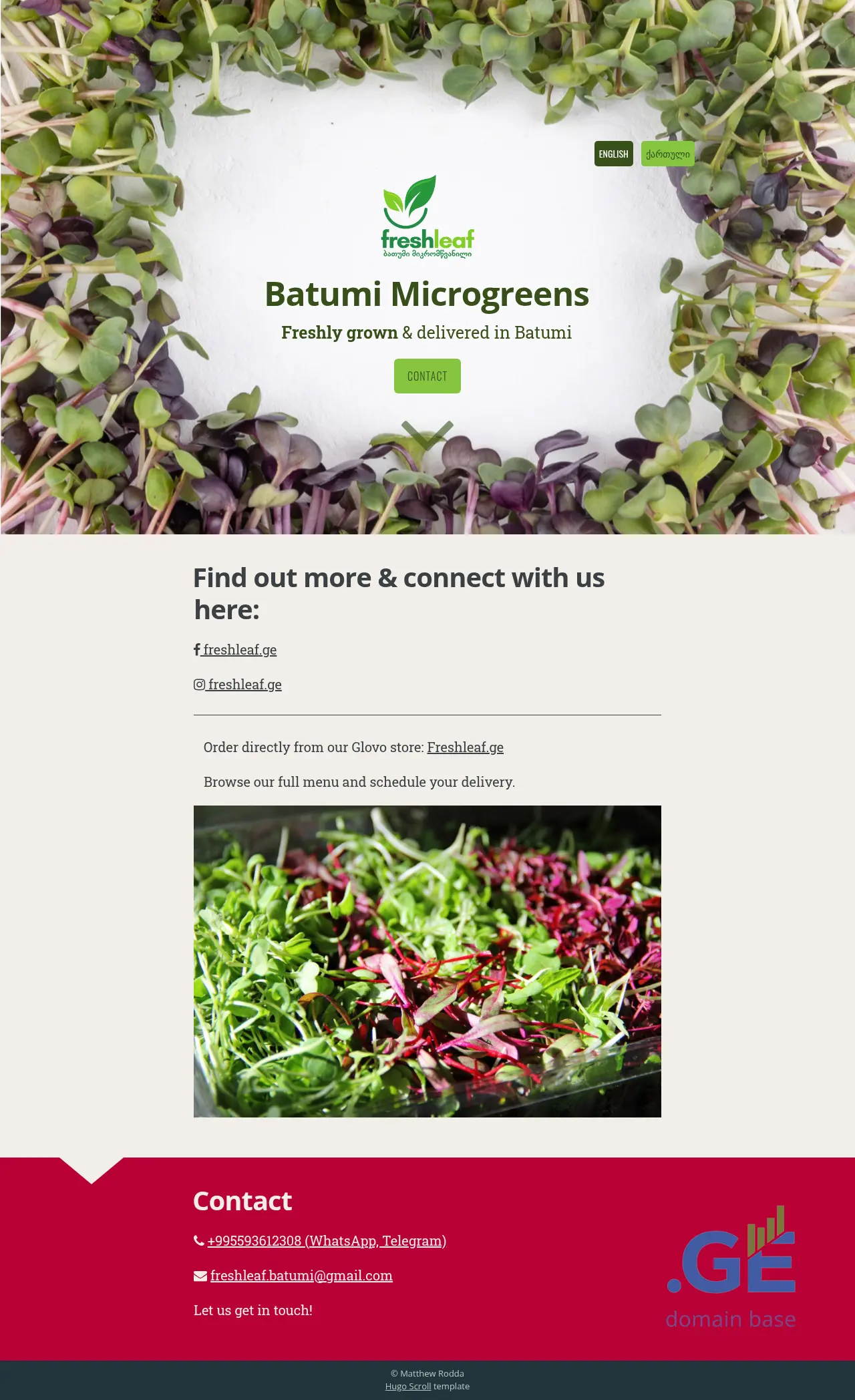 Screenshot of the site freshleaf.ge