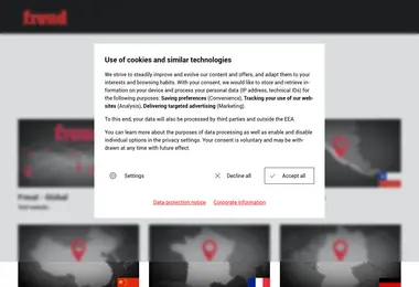 Screenshot of freudtools.ge