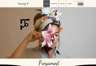 Screenshot of freyamed.ge