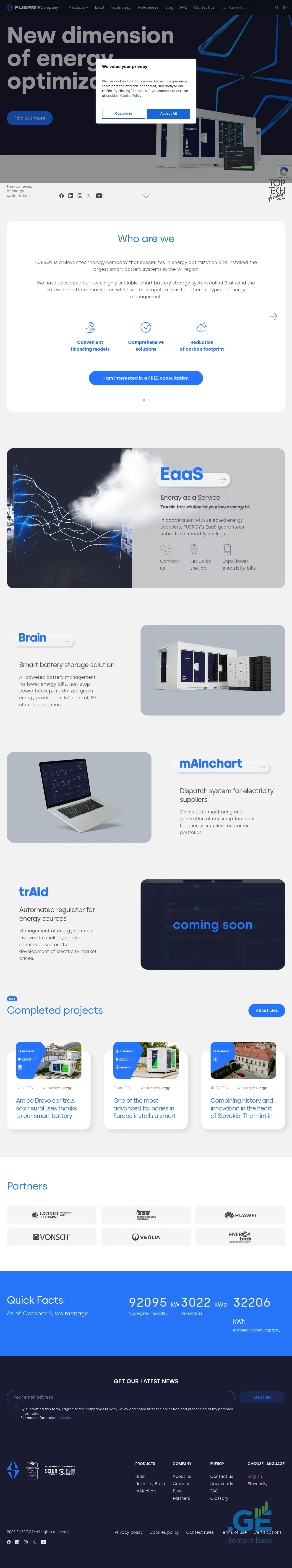Screenshot of the site fuergy.ge