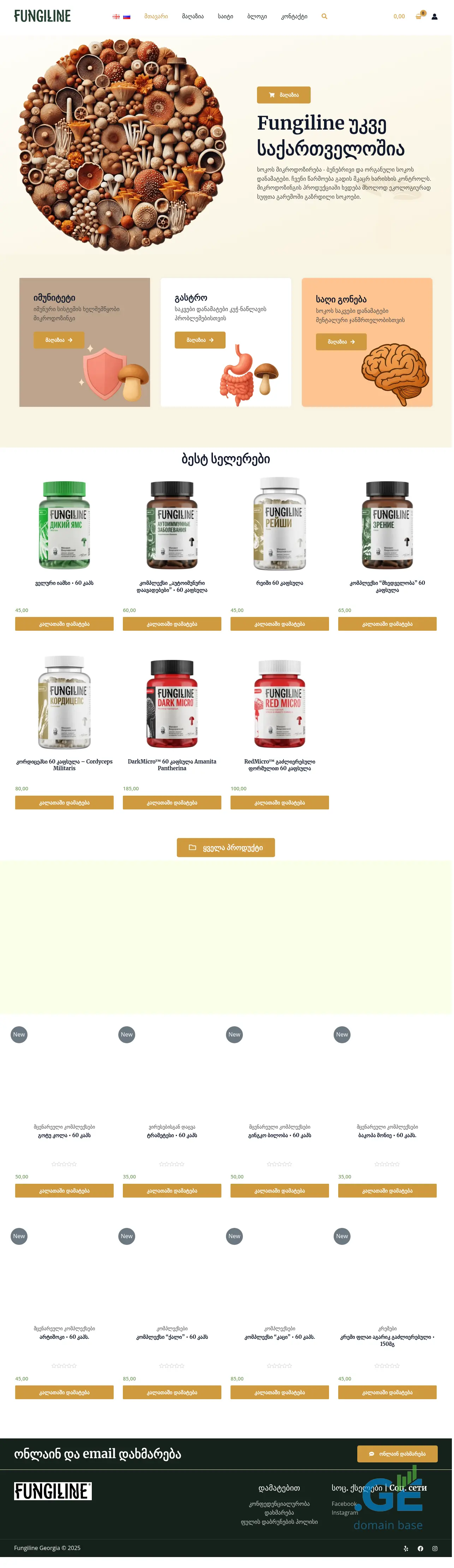 Screenshot of the site fungiline.ge