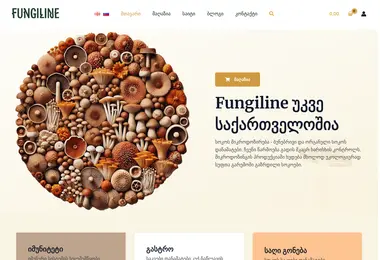 Screenshot of fungiline.ge