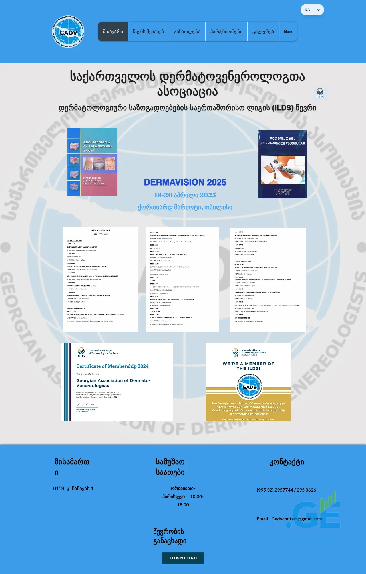 Screenshot of the site gadv.ge