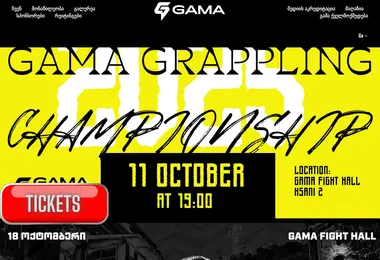 Screenshot of gamafc.ge