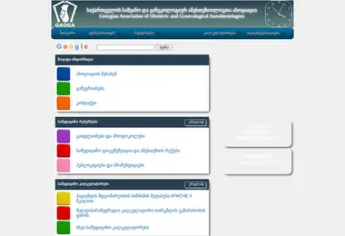 Screenshot of gaoga.org.ge