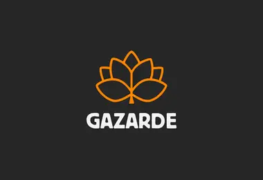 Screenshot of gazarde.ge