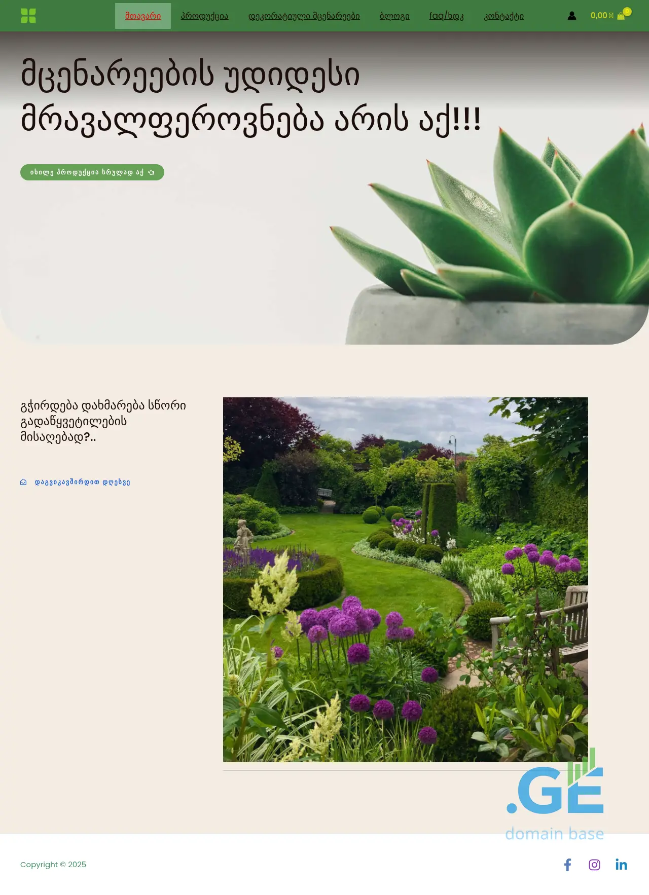 Screenshot of the site gazoni.ge