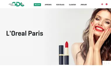 Screenshot of gdcc.ge