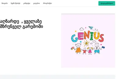 Screenshot of geniosi.ge