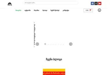 Screenshot of geoauction.ge