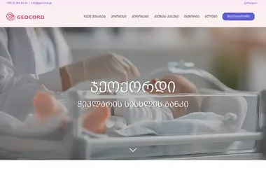 Screenshot of geocord.ge
