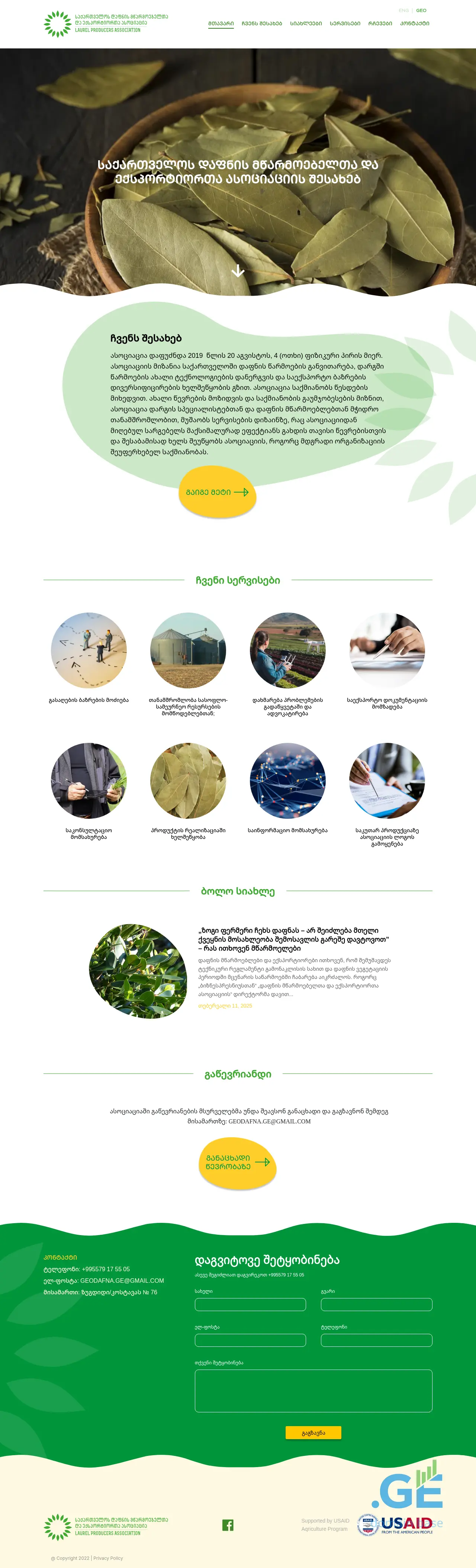 Screenshot of the site geodafna.ge