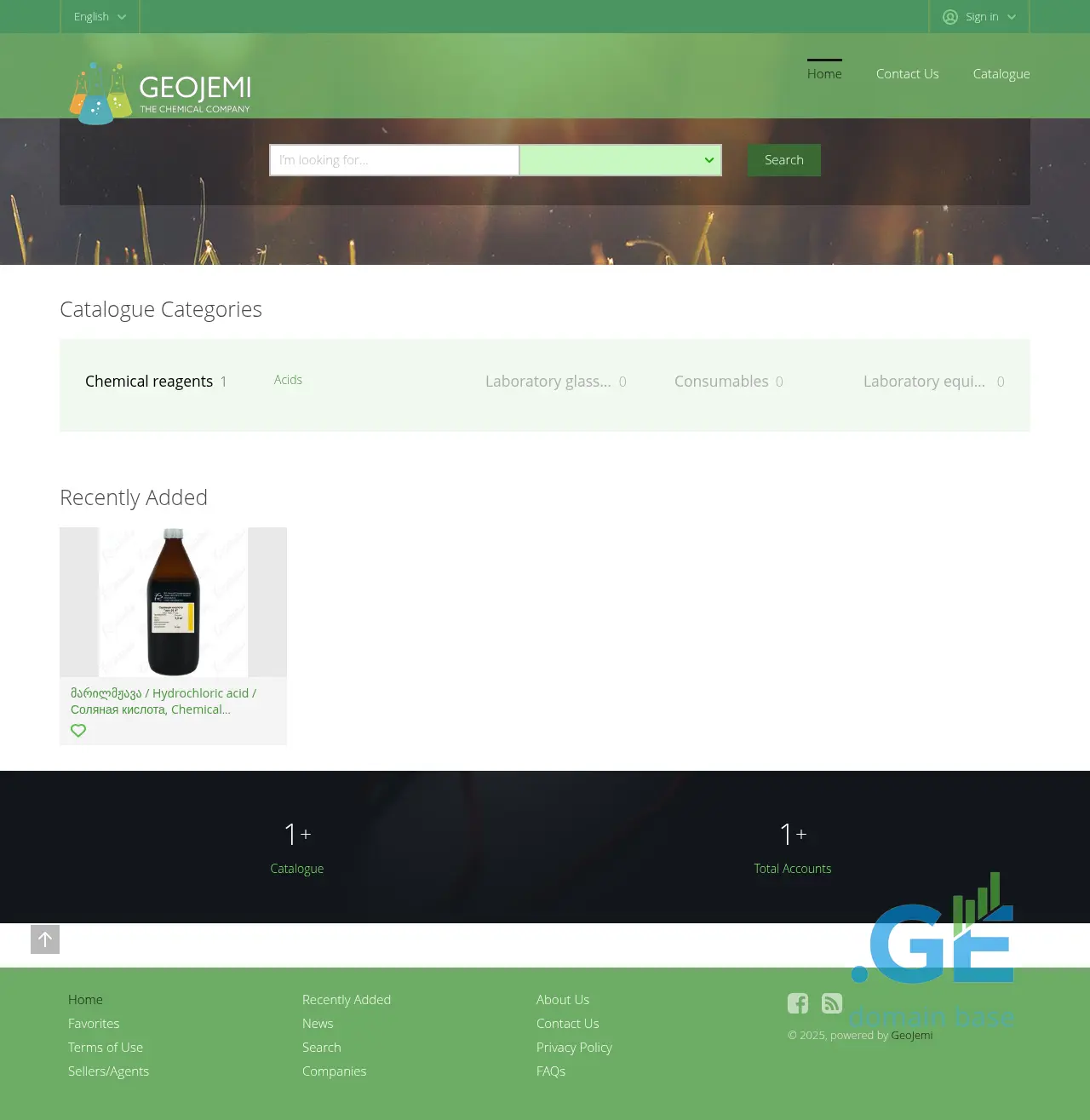 Screenshot of the site geojemi.ge