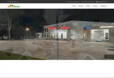 Screenshot of geonuts.ge