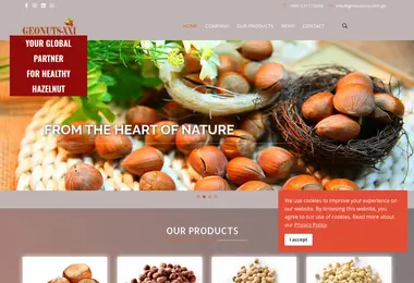 Screenshot of geonutsxxi.com.ge