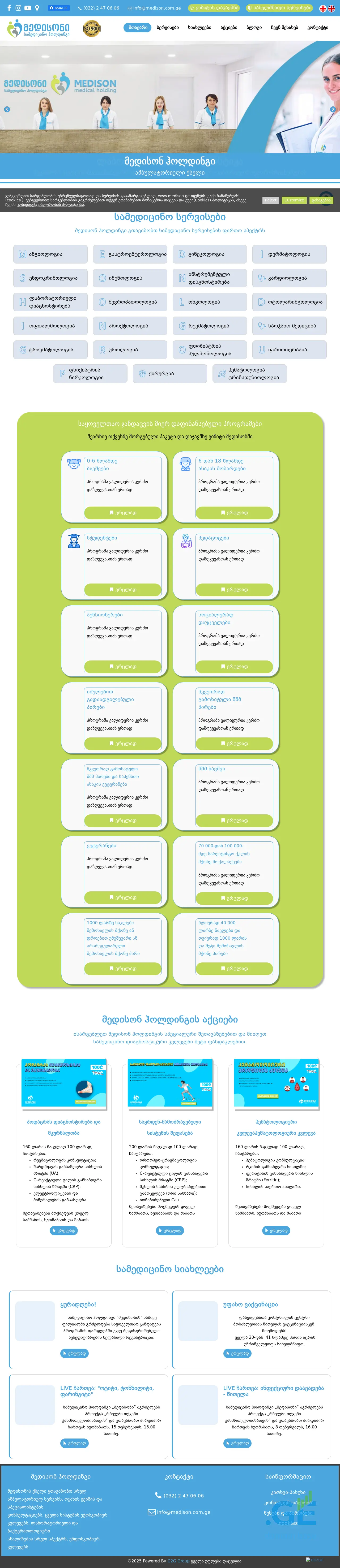 Screenshot of the site geopanel.ge