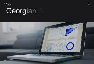 Screenshot of georgiansalesgroup.ge