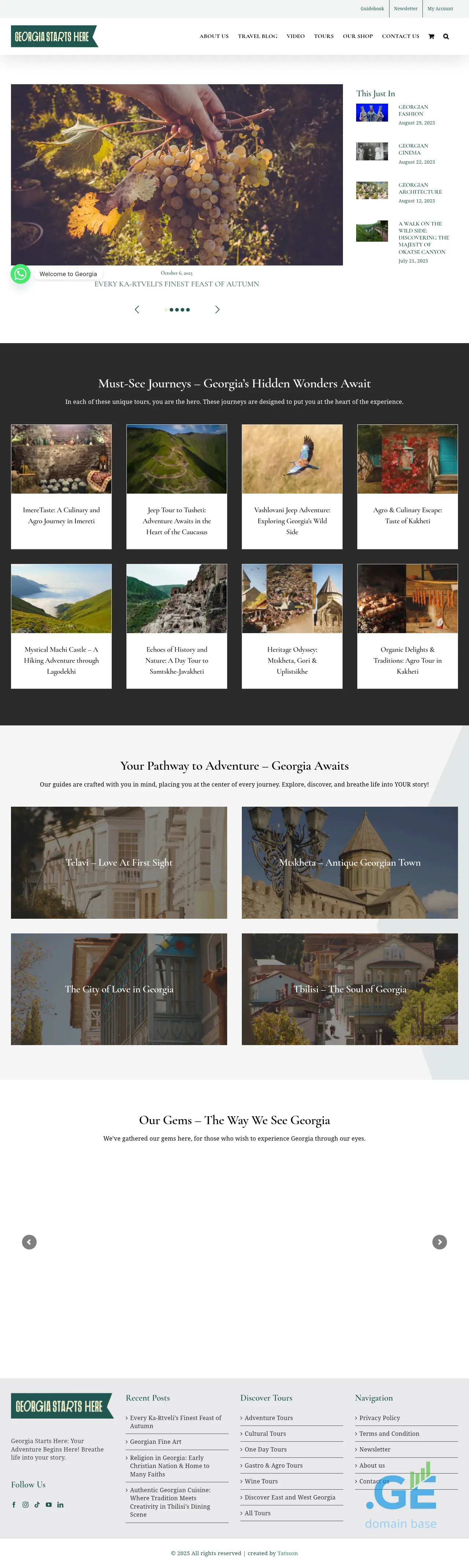 Screenshot of the site georgiastartshere.ge