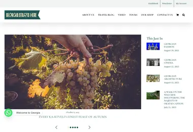 Screenshot of georgiastartshere.ge