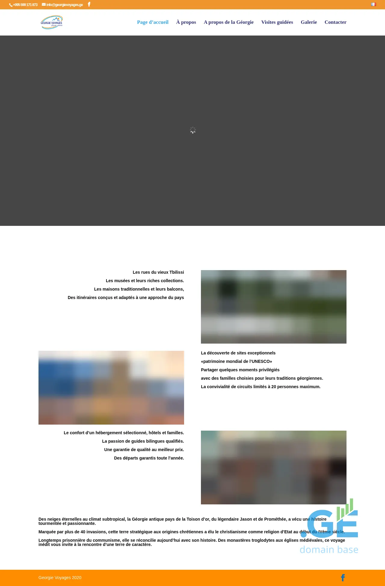 Screenshot of the site georgievoyages.ge