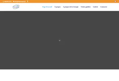 Screenshot of georgievoyages.ge