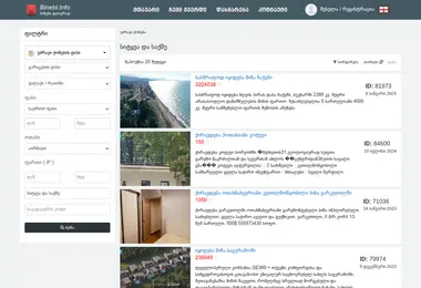Screenshot of geplac.ge