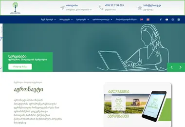 Screenshot of gfa.org.ge