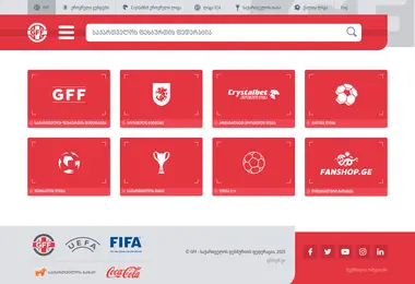 Screenshot of gff.ge