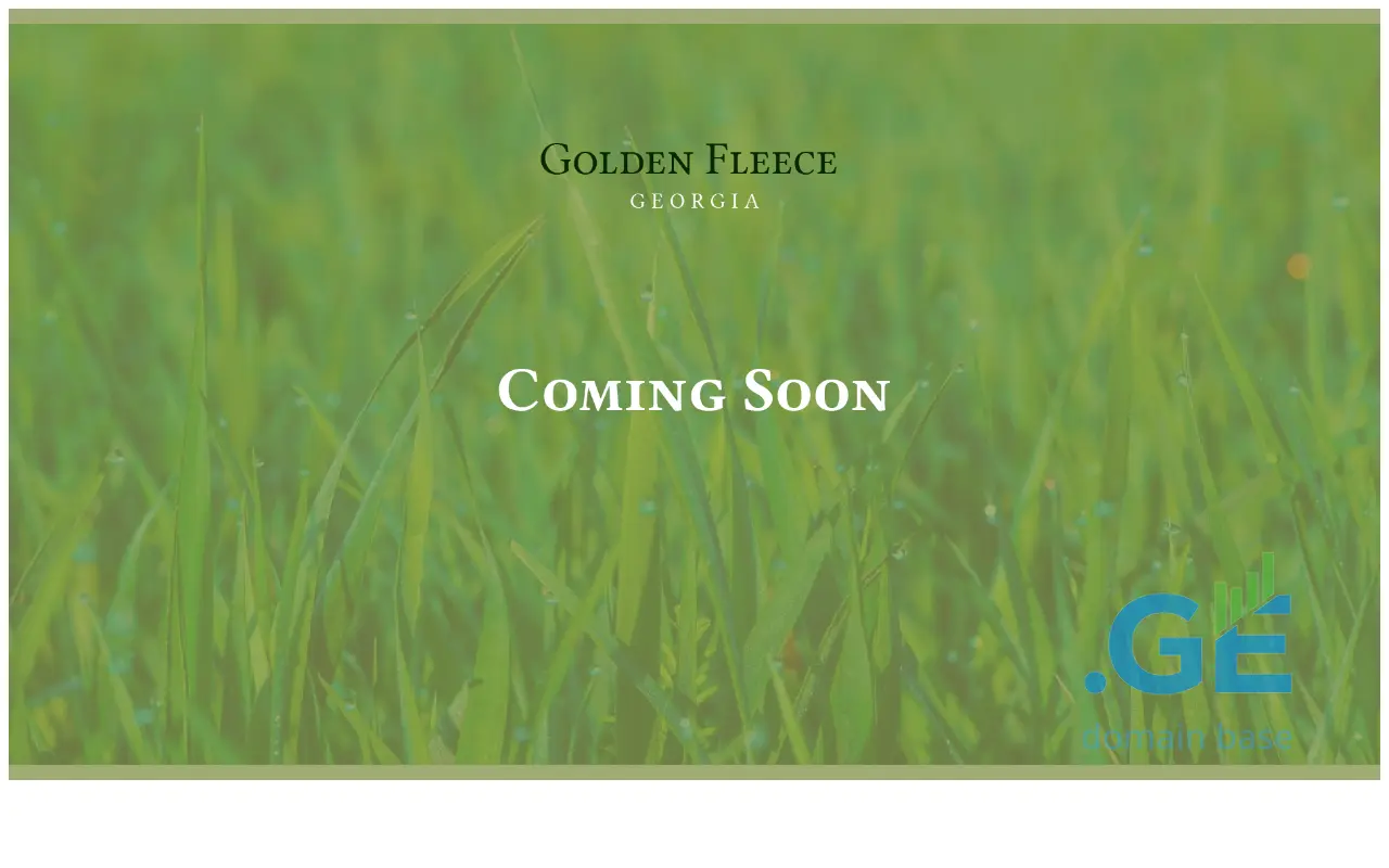Screenshot of the site gfgeorgia.ge