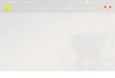 Screenshot of ggg-mziani.ge