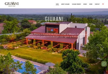 Screenshot of giuaani.ge