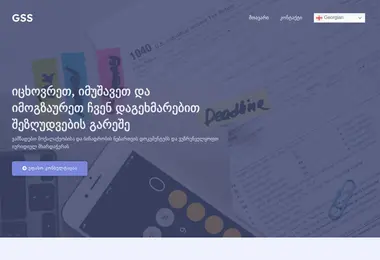 Screenshot of globalsupportservice.ge
